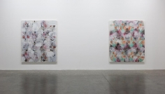 Palimpsest: Unstable Paintings for Anxious Interiors, Installation view at Green Art Gallery, Dubai, 2014
