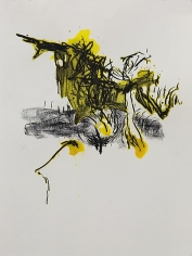 Shawki Youssef, Variation 2, 2013, Mixed media on paper, 48 x 36 cm