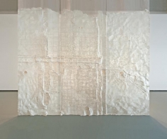 Nazgol Ansarinia, Membrane, 2014, Paper, paste &amp;amp; glue, 550 x 500 cm